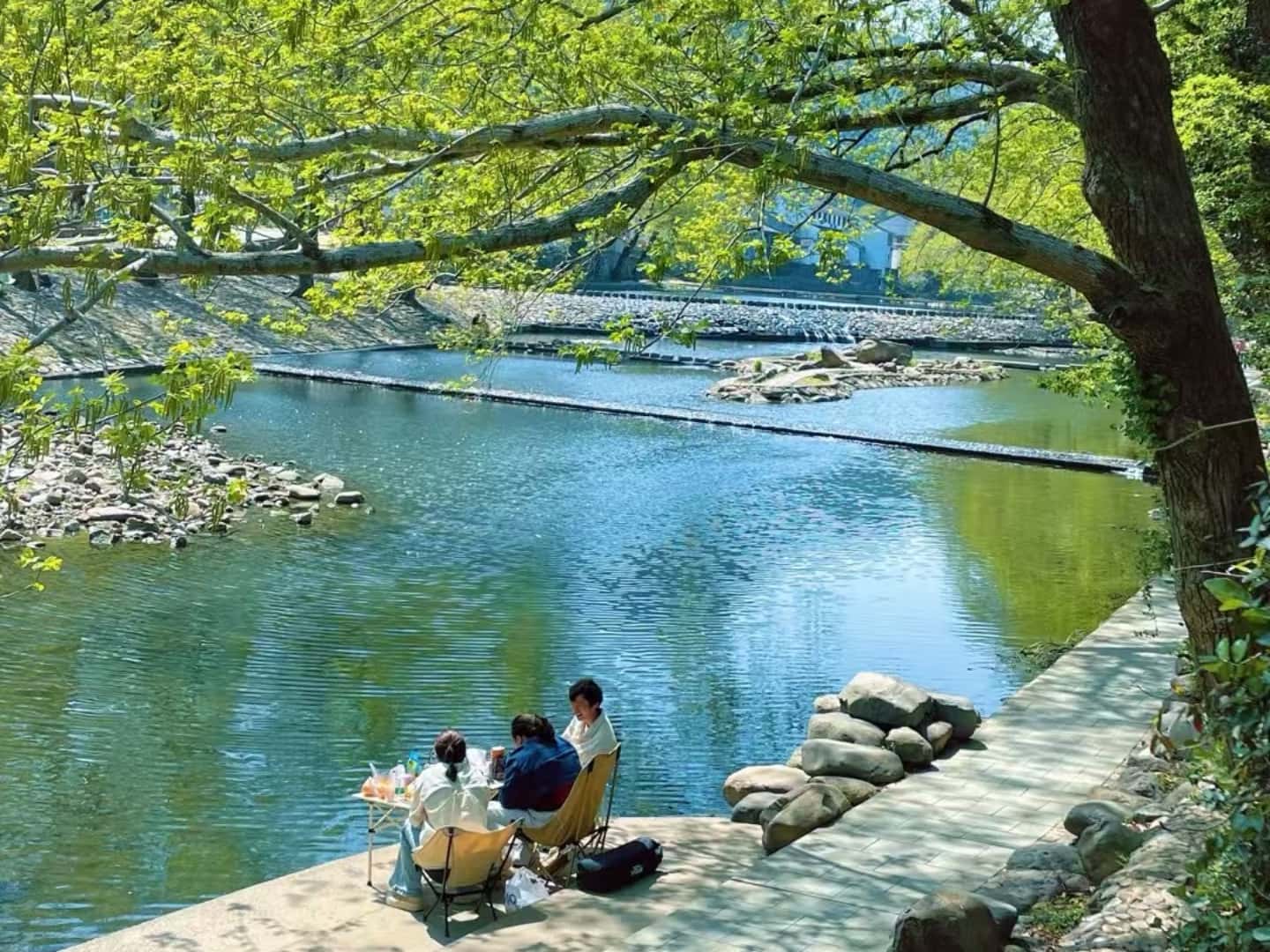 在中村的春日盛約：寧波匯展汽車科技有限公司團建之旅?